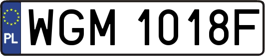 WGM1018F