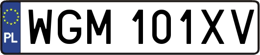 WGM101XV
