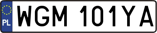 WGM101YA