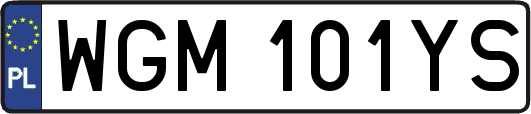 WGM101YS