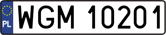 WGM10201