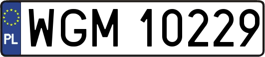 WGM10229
