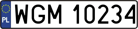 WGM10234