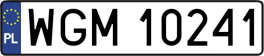WGM10241