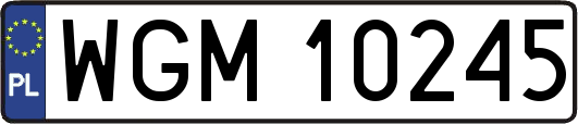 WGM10245