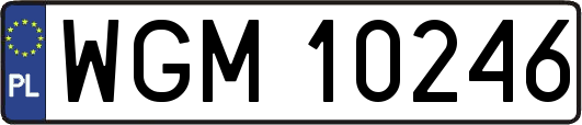WGM10246
