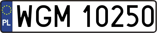 WGM10250