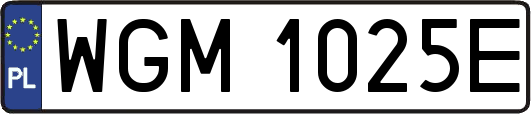 WGM1025E