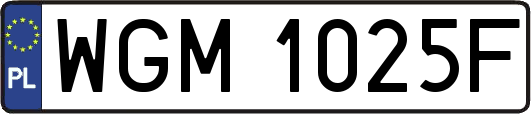WGM1025F