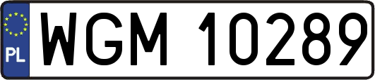 WGM10289