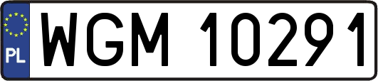 WGM10291