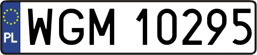 WGM10295