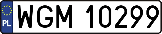 WGM10299