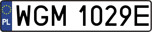 WGM1029E