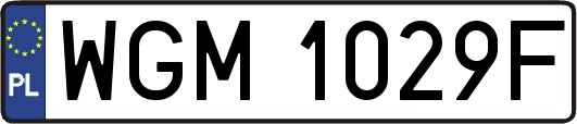 WGM1029F