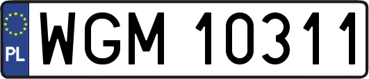 WGM10311