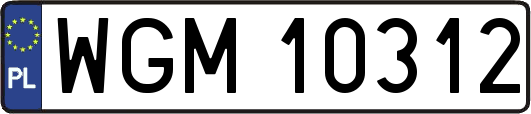 WGM10312