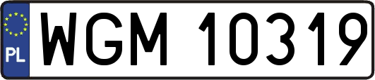 WGM10319