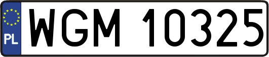 WGM10325
