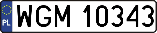 WGM10343
