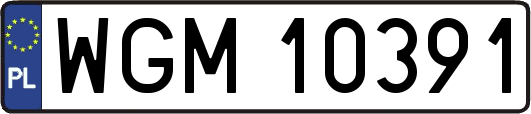 WGM10391