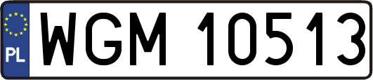 WGM10513