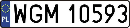 WGM10593