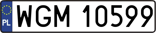 WGM10599