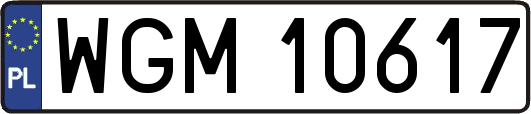 WGM10617