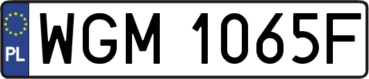 WGM1065F