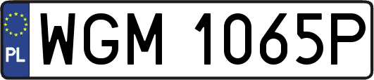 WGM1065P