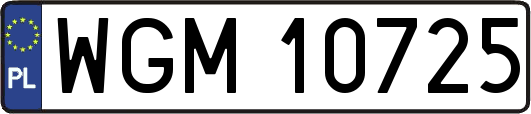 WGM10725