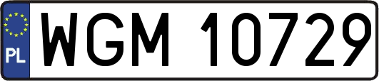 WGM10729