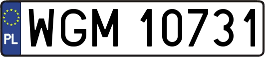 WGM10731