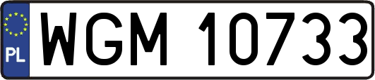WGM10733
