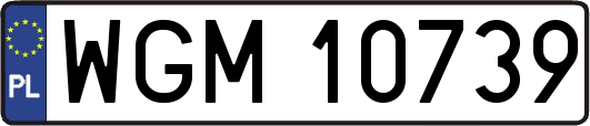 WGM10739
