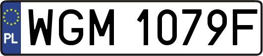 WGM1079F