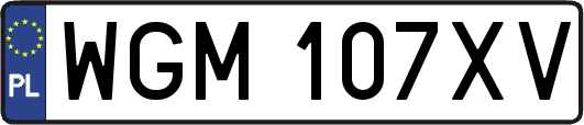 WGM107XV