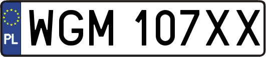 WGM107XX
