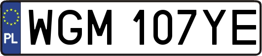 WGM107YE