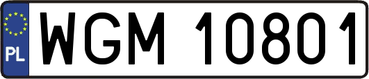 WGM10801