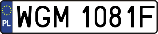 WGM1081F