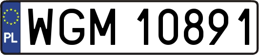 WGM10891