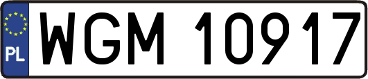 WGM10917