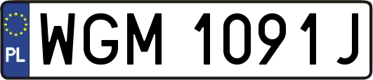 WGM1091J