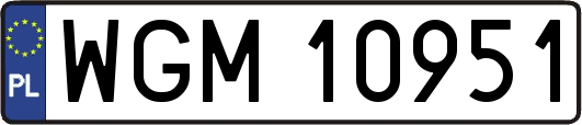 WGM10951