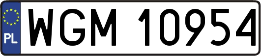 WGM10954
