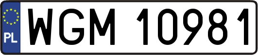 WGM10981