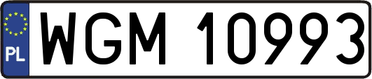 WGM10993