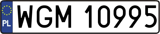 WGM10995